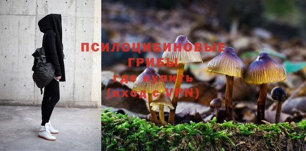 винт Армянск