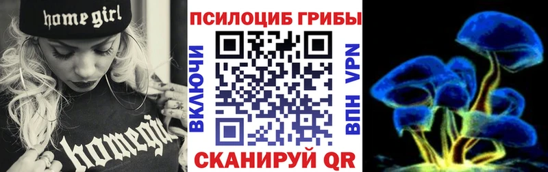 Галлюциногенные грибы GOLDEN TEACHER  хочу наркоту  Новый Оскол 